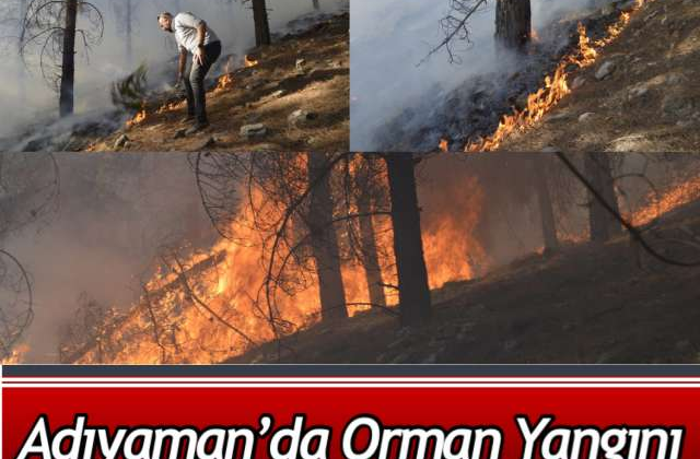 Adıyaman’da orman yangını: Ekiplerin müdahalesi sürüyor