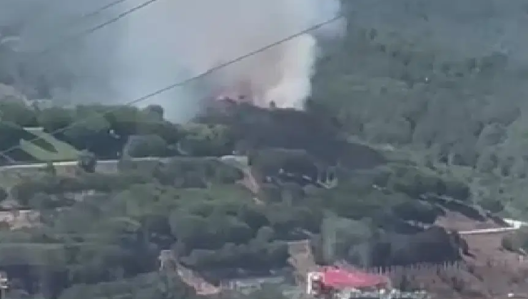 Son Dakika… İstanbul’da orman yangını başladı: Ekipler müdahale ediyor