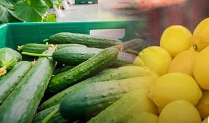 Gümrüğe beyan edilmemiş 2 bin 298 kilo limon ve 146 kilo salatalık polis tarafından ele geçirildi