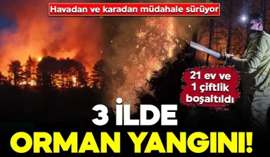 3 ilde orman yangını! Alevler rüzgarın etkisiyle yayıldı: Çok sayıda ekip müdahale ediyor