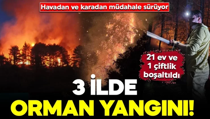 3 ilde orman yangını! Alevler rüzgarın etkisiyle yayıldı: Çok sayıda ekip müdahale ediyor