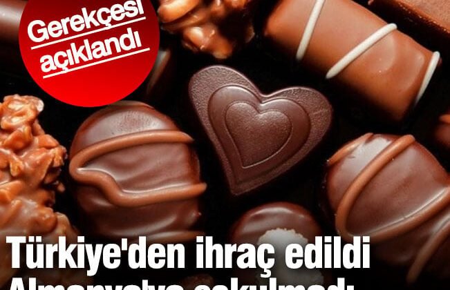 Türkiye’den ihraç edildi ciddi sağlık riski oluşturduğu için Almanya’ya sokulmadı.