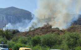 Girne Ciklos mevkindeki yangında 8 dönümlük alan yandı