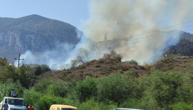 Girne Ciklos mevkindeki yangında 8 dönümlük alan yandı