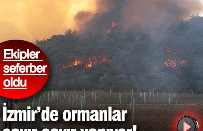 İzmir’de ormanlar cayır cayır yanıyor! Dumanlar 60 Kilometre uzaklıktan gözüküyor: Ekipler seferber oldu