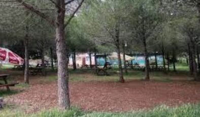 Boğaz Piknik Alanında, müzik sesini biraz kısması istenince bıçağını çekerek korku saldı