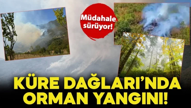 Küre Dağları Milli Parkı’nda orman yangını!