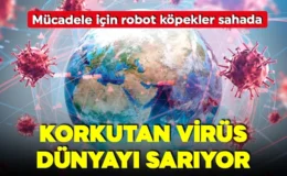 Korkutan virüs dünyayı sarıyor! 8 bin vaka görüldü! Robot köpekler sahada