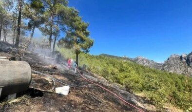 Adana'da orman yangını: Müdahale sürüyor