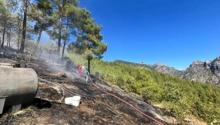 Adana'da orman yangını: Müdahale sürüyor