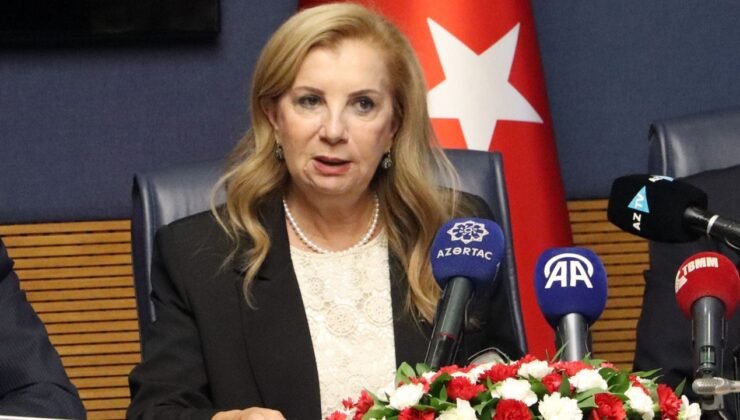 Canaltay, Türk Devletleri'nden KKTC konusunda sorumluluk almalarını istedi