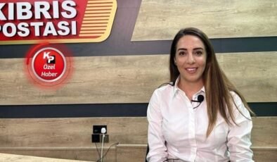 Feriha Tel: Karayolları Dairesi, kullanımındaki taş ocağını yetkisi dışında özel sektöre devretti