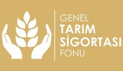 Genel Tarım Sigortası Fonu: Büyükbaş hayvan düşük zararı tazminatları ödendi