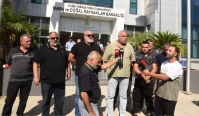 Hayvancılar hükümeti eleştirdi: Bize Güney’in yolunu açsınlar, gidip kaba yemimizi oradan alalım!
