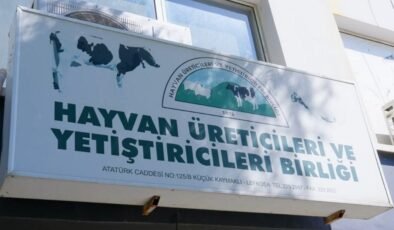 Hayvancılık Üreticilerinden Çavuş'a "hamaset siyaseti" tepkisi: Ya çözüm ya da mücadele!