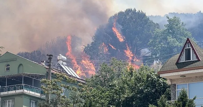 Bursa’da orman yangını! Rüzgarın etkisiyle ilerliyor