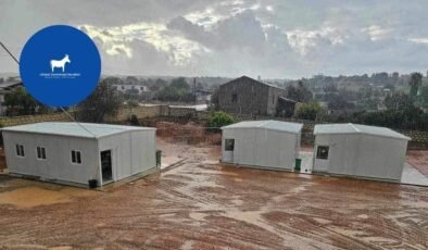 LDH: Yeni eğitim yılı öncesinde, okullar fiziki ve zihinsel güvenlik açısından tehdit altında!