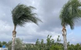 Meteoroliji Dairesi'nden "fırtınamsı rüzgar" uyarısı