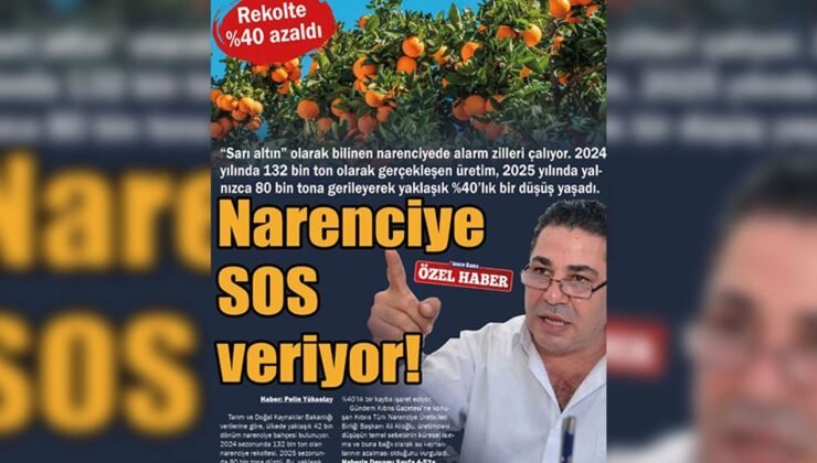 Narenciye SOS veriyor! Rekolte %40 azaldı