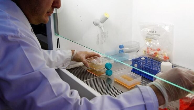 Tabipler Birliği: Prostat kanseri tedavisinde en belirleyici faktör erken tanı
