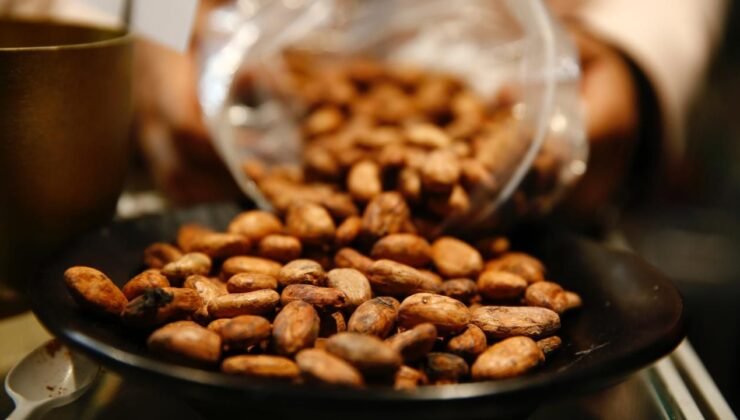 Bir fincan kakaonun erkekler için şaşırtıcı sağlık faydası