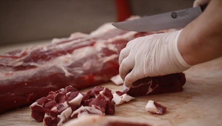 BM raporunda Türkiye'nin utandıran sıralaması: Günlük siyaseti bırakın bunu konuşun