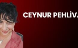 “BİZ GELDİK SİZİ KURTARDIK” DİYENLERE ATFOLUNUR