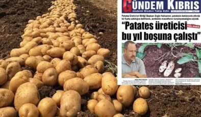 “Patates üreticisi bu yıl boşuna çalıştı”