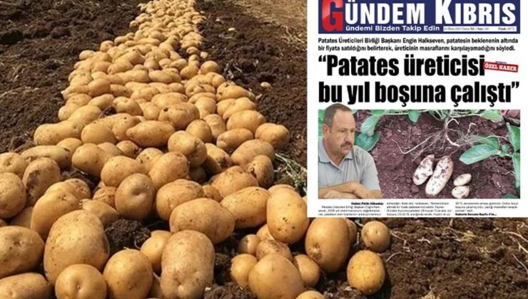 “Patates üreticisi bu yıl boşuna çalıştı”