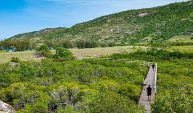 Hayatının tatiline çıktı: Unutulduğu adada yaşamını yitirdi