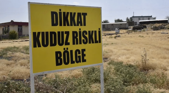 Diyarbakır’da kuduz faciası: 17 yaşındaki genç öldü!