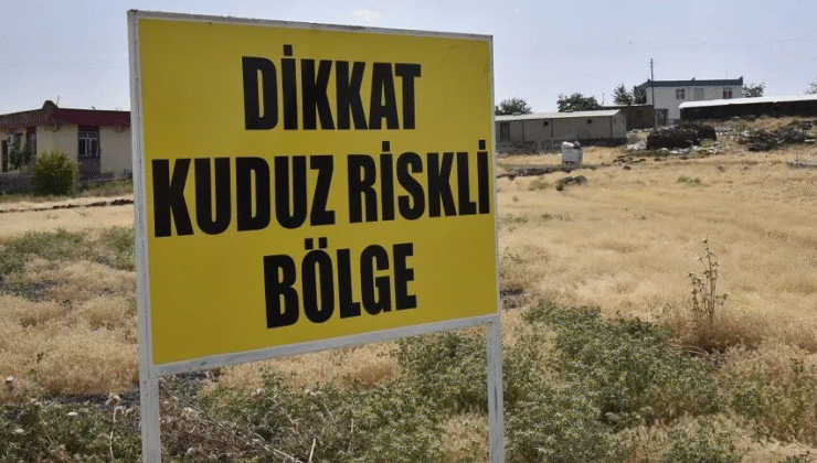 Diyarbakır’da kuduz faciası: 17 yaşındaki genç öldü!