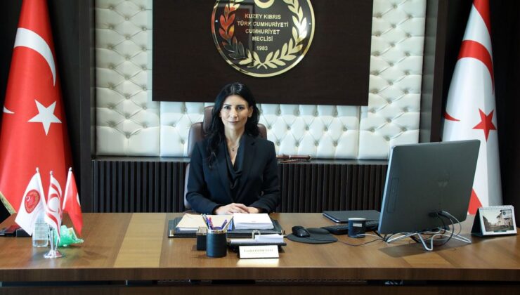 Meclis Başkan Yardımcısı Özdenefe, Erhürman'ı kutladı…