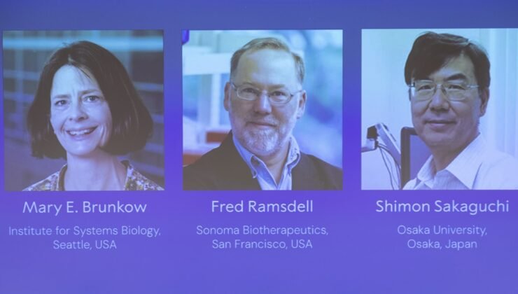 Nobel Tıp Ödülü kazanan isim sırra kadem bastı! Ulaşılamıyor!