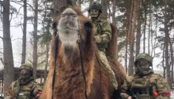 Ukrayna güçleri, Rus ordusunun devesini ele geçirdi