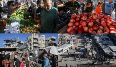 Yıkık kentte umutlar yeşerdi