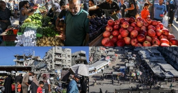 Yıkık kentte umutlar yeşerdi