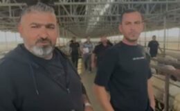 Dipkarpazlı Üretici Evren Dağ: Yeni hayvanlarımız hayırlısı olsun, bakanlığa sonsuz teşekkürler