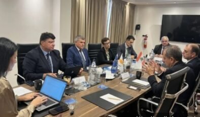 Elektrikte işbirliği