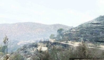 Kontrol altına alındı