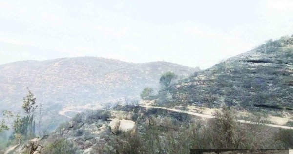 Kontrol altına alındı