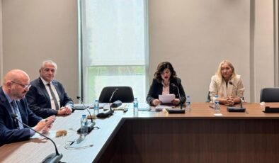 Meclis Hukuk, Siyasi İşler, Dışilişkiler ve Savunma Komitesi toplandı