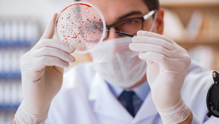 30 yıl sonra yeniden hortladı, Avrupa alarma geçti: Veba laboratuardan mı yayıldı?