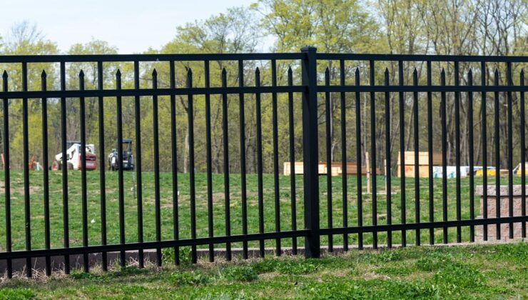 Çiftleşmeleri için arsa tutuldu: Peş peşe görülmeye başladılar