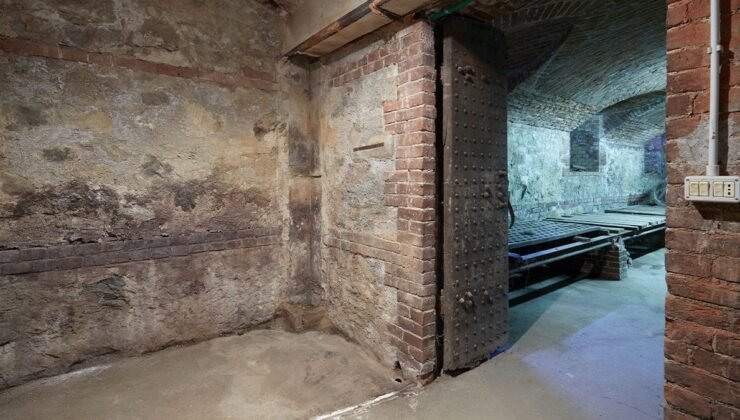 Evinin bodrumunda 300 kiloluk dev sürprizle karşılaştı