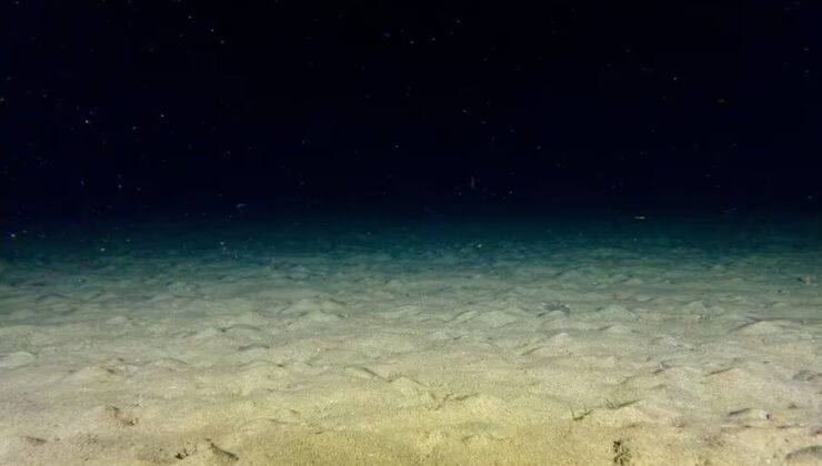 Gecenin bir yarısı kaydedilen görüntüye uzmanlar bile inanamadı: ‘Böyle bir şey görmedik’