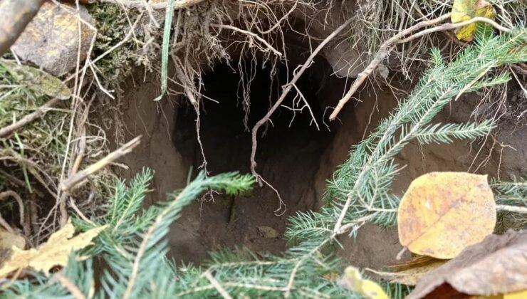 İki ülke arasında 100 metrelik tüneller bulundu! Sınırları yer altından delmişler