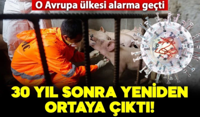 30 yıl sonra yeniden ortaya çıktı! O Avrupa ülkesi alarma geçti