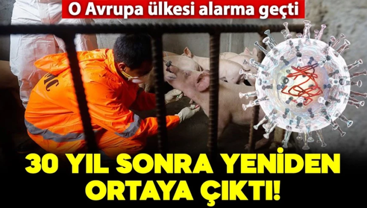 30 yıl sonra yeniden ortaya çıktı! O Avrupa ülkesi alarma geçti
