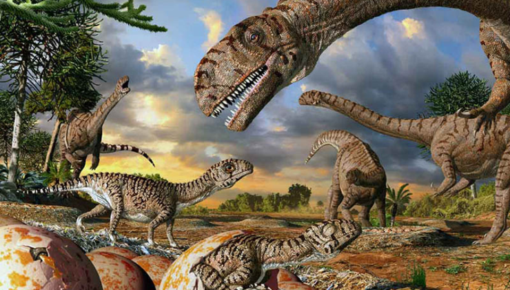 210 milyon yıl öncesine ait binlerce dinozor ayak izine raslandı